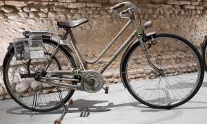 192000825 4113393848726068 9040831801562722763 n