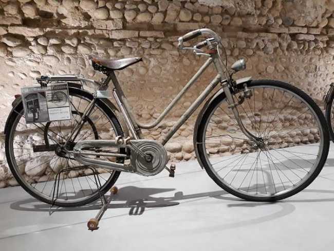 192000825 4113393848726068 9040831801562722763 n