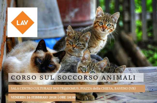 2024 locandina soccorso animali