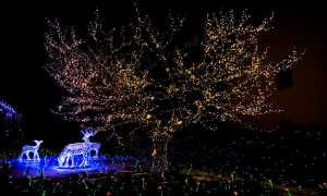 26171306 932920606861358 2490321903553772102 o