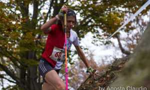 383005f4 6de1 74c0 883b be6e22c0b129