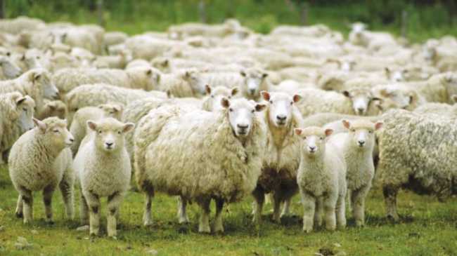 3BD26CD0 BD2A 49EE 8597 4A2DDE0AB114 678x3811