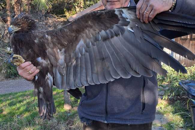 419833563 767951048704526 6838075318716064064 n