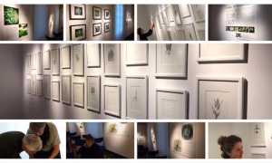 43527264 10156629914226181 779706752303104000 n