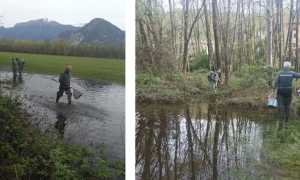 436924781 824066576426306 4226975699301222458 n copia