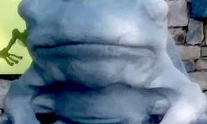 43759561 570295690070975 3733331701355511808 n