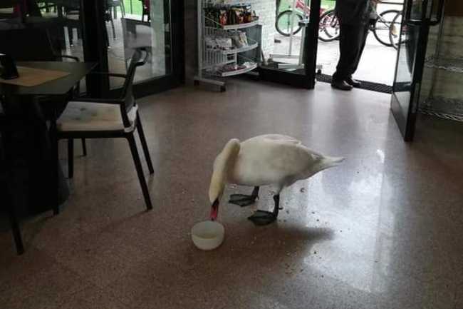 44827972 2308899962729616 2603132837192269824 n