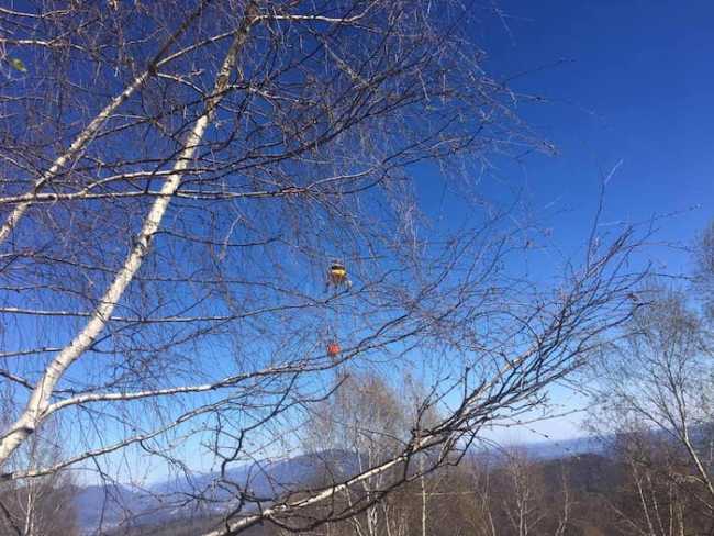 54798969 2353613801329552 8982848950541221888 n