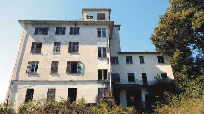 55793536 10218867851838232 2497144361565814784 o