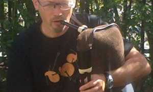 92667000 10217082920522294 6720146985145335808 n