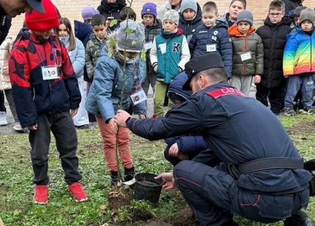 Alberi carabinieri scolari