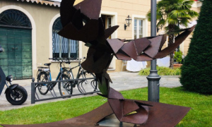 Angelo Bozzola municipio211