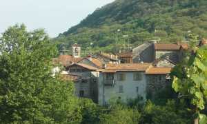 Brovello carpugnino verde