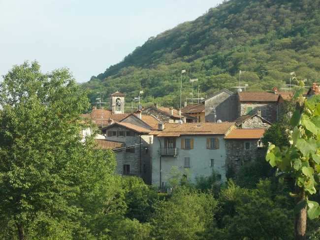 Brovello carpugnino verde