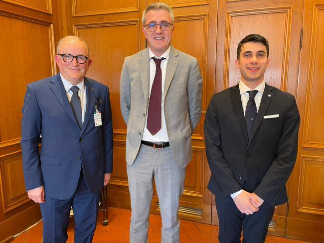 Hospes Fava Montani Porrini