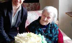 IMG 20151129 WA0006