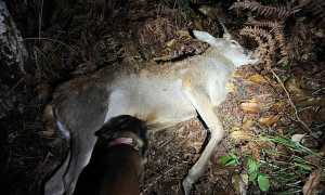 IMG 20241024 WA0019