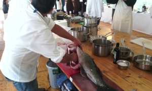 IMG 20151013 113739