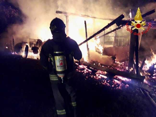 IMG 20221008 162822 700 x 525 pixel