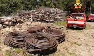 IMG 20230713 122120 700 x 525 pixel