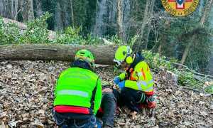 IMG 20231203 190812 700 x 602 pixel