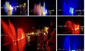 IMG 4321