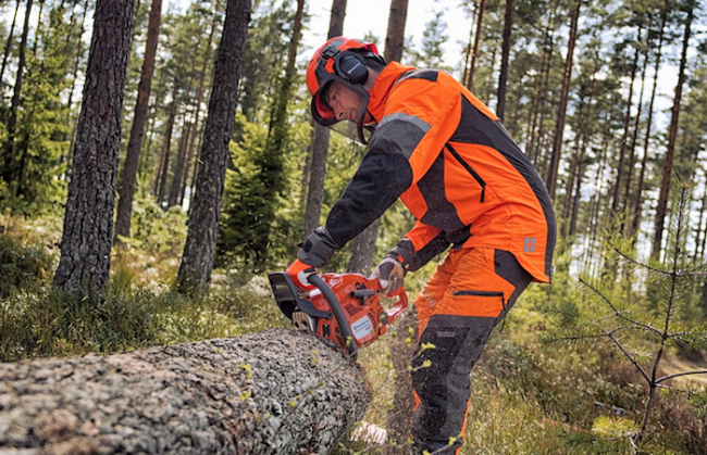 Schermata 2018 08 10 alle 15.01.42