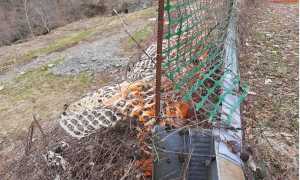 Schermata 2021 03 08 alle 11.17.36