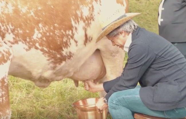 Schermata 2021 08 06 alle 16.42.17