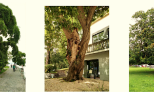 Schermata 2021 09 14 alle 08.26.57