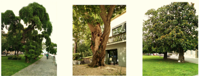 Schermata 2021 09 14 alle 08.26.57