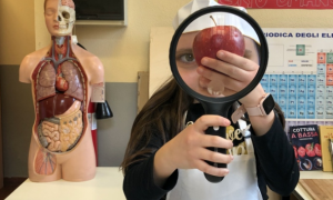 Schermata 2022 03 02 alle 15.19.01