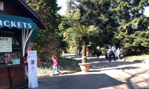 Schermata 2023 10 13 alle 10.36.17