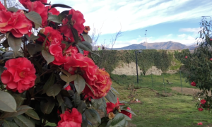 Schermata 2024 01 10 alle 09.55.24