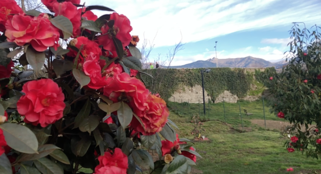 Schermata 2024 01 10 alle 09.55.24