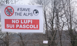 Schermata 2024 10 07 alle 08.42.28