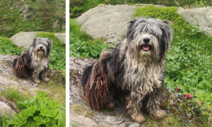 Schermata 2024 11 20 alle 16.14.22