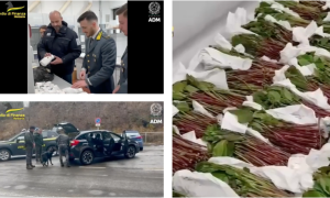 Schermata 2025 02 03 alle 10.23.06