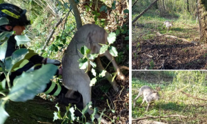 Schermata 2025 04 05 alle 13.52.01