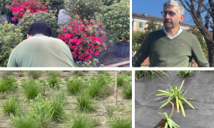 Schermata 2025 04 12 alle 15.57.17