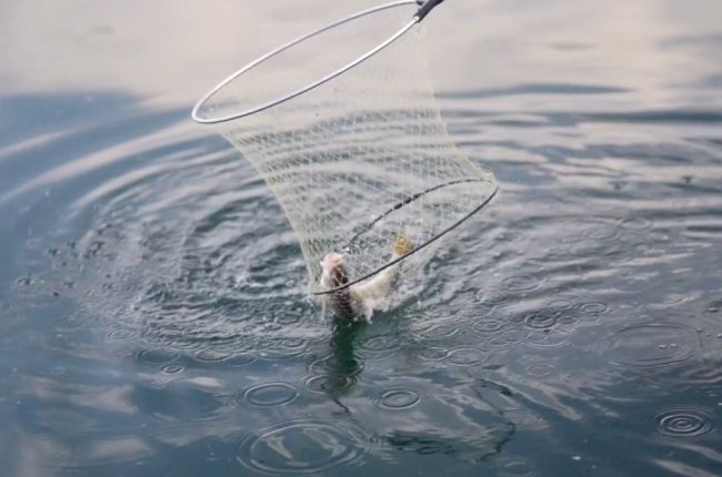 Schermata 2025 09 25 alle 12.13.18