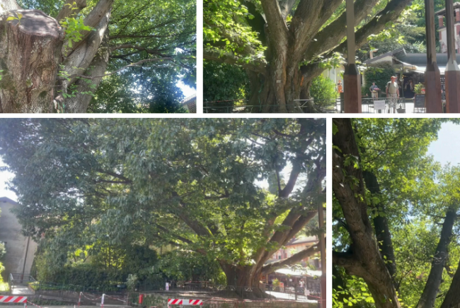 Schermata 2025 10 02 alle 16.07.31