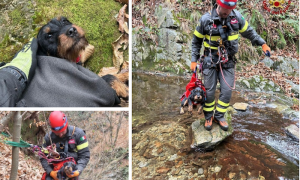 Schermata 2025 12 01 alle 17.35.26