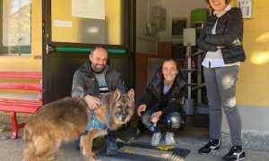 Sindaco Davide Inzaghi dipendenti amministrazione comunale