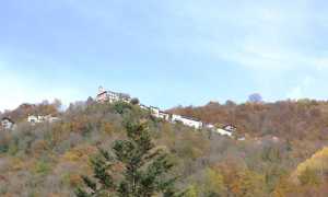 Spoccia