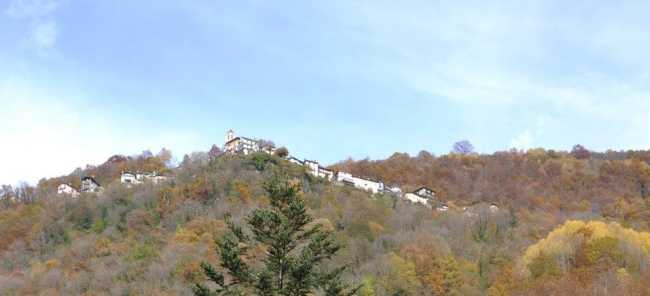Spoccia