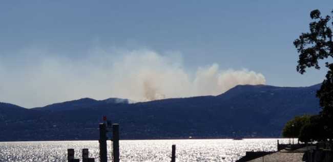 WhatsApp Image 2019 03 26 at 14.20.51