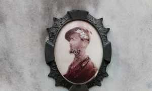 WhatsApp Image 2021 03 19 at 10.24.071 copia images articles vco verbano 2021 Marzo thumb medium650 0