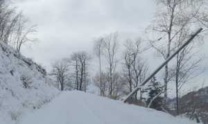 WhatsApp Image 2022 02 16 at 08.18.50