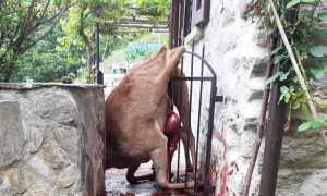 WhatsApp Image 2022 05 31 at 11.52.22